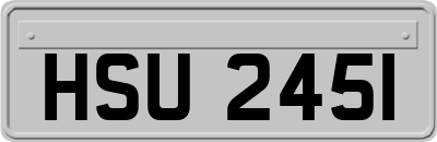 HSU2451