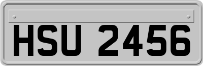 HSU2456