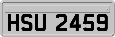 HSU2459