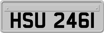 HSU2461
