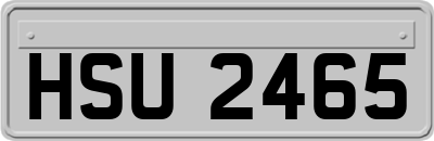HSU2465