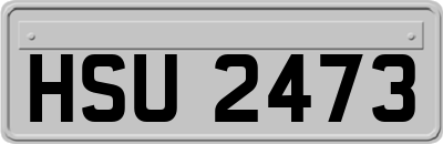 HSU2473