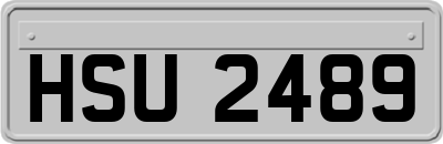 HSU2489