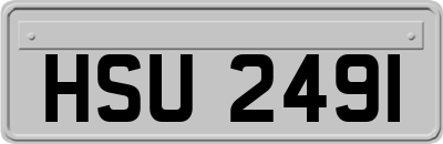 HSU2491
