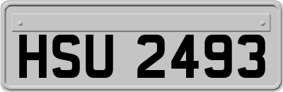 HSU2493