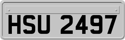 HSU2497