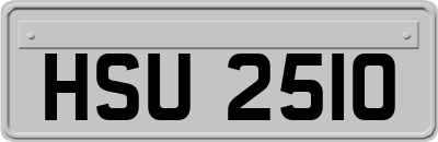 HSU2510