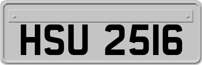 HSU2516