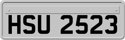 HSU2523