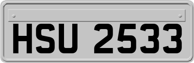 HSU2533