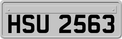 HSU2563