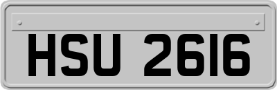 HSU2616