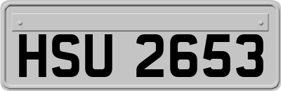 HSU2653