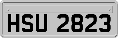 HSU2823