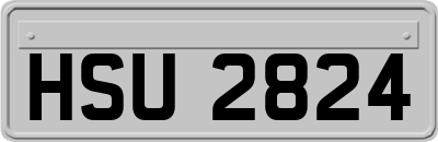 HSU2824