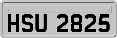 HSU2825