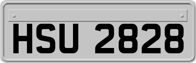 HSU2828