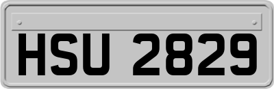 HSU2829