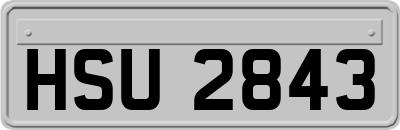 HSU2843