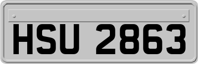 HSU2863