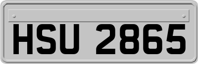 HSU2865