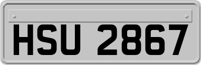 HSU2867