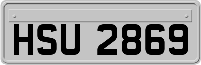 HSU2869