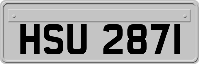 HSU2871