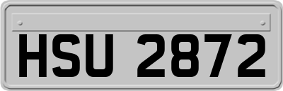HSU2872