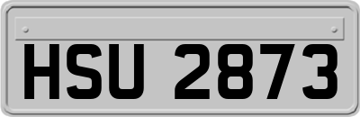 HSU2873