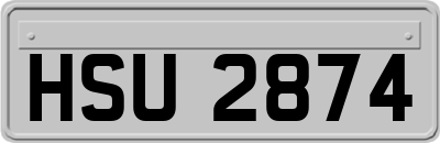 HSU2874