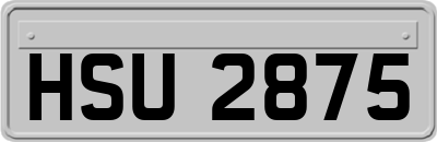 HSU2875