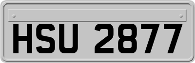 HSU2877