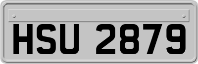 HSU2879