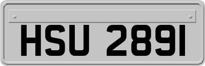 HSU2891