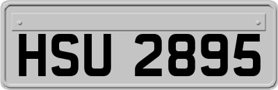 HSU2895