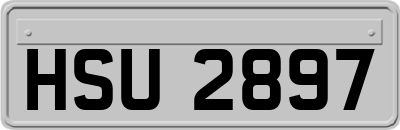 HSU2897