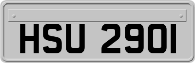 HSU2901