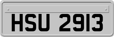 HSU2913