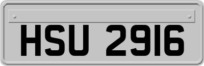 HSU2916