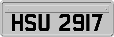 HSU2917