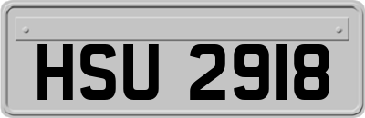 HSU2918