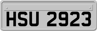 HSU2923