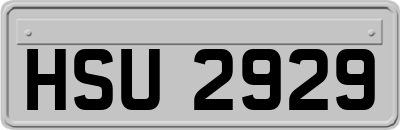 HSU2929