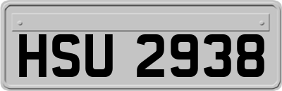 HSU2938