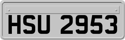 HSU2953