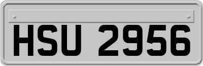 HSU2956