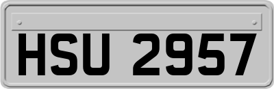HSU2957