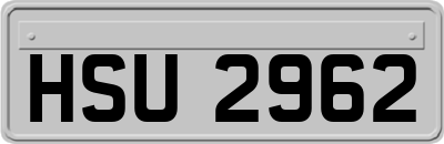 HSU2962