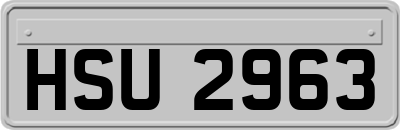 HSU2963